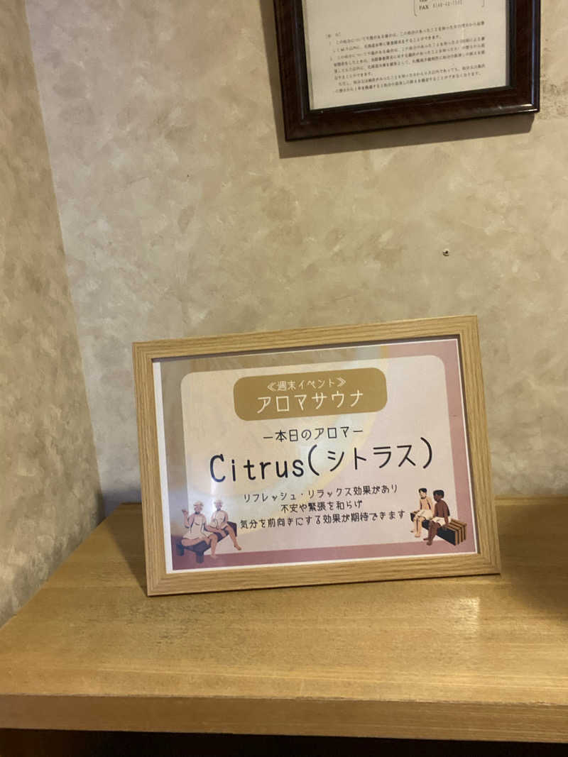 エキゾチックヤスさんのひだか高原荘のサ活写真