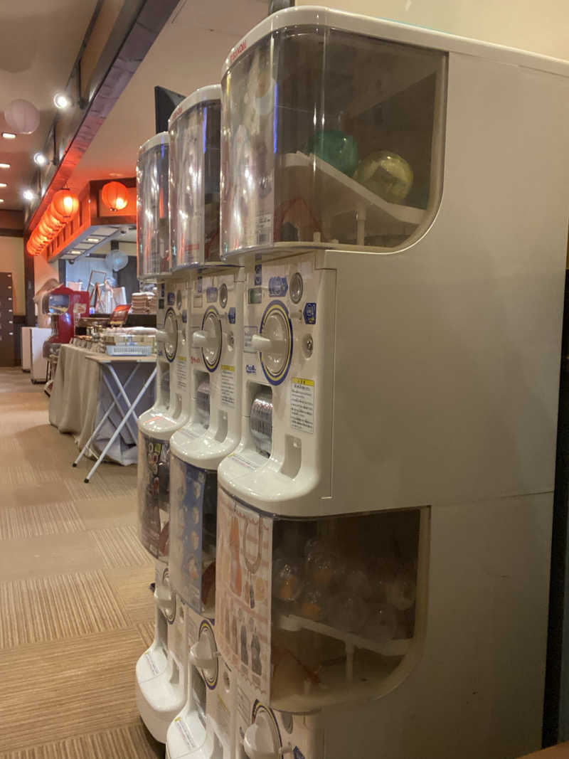 エキゾチックヤスさんの苫小牧温泉ほのかのサ活写真