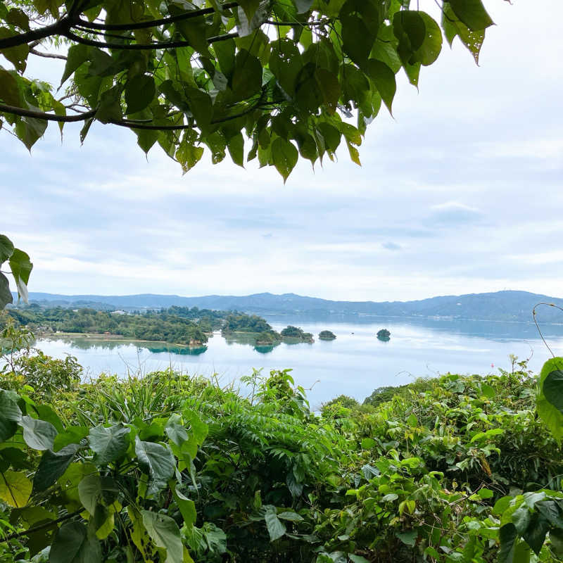 ばっさんさんのサウナ 森の巣箱のサ活写真