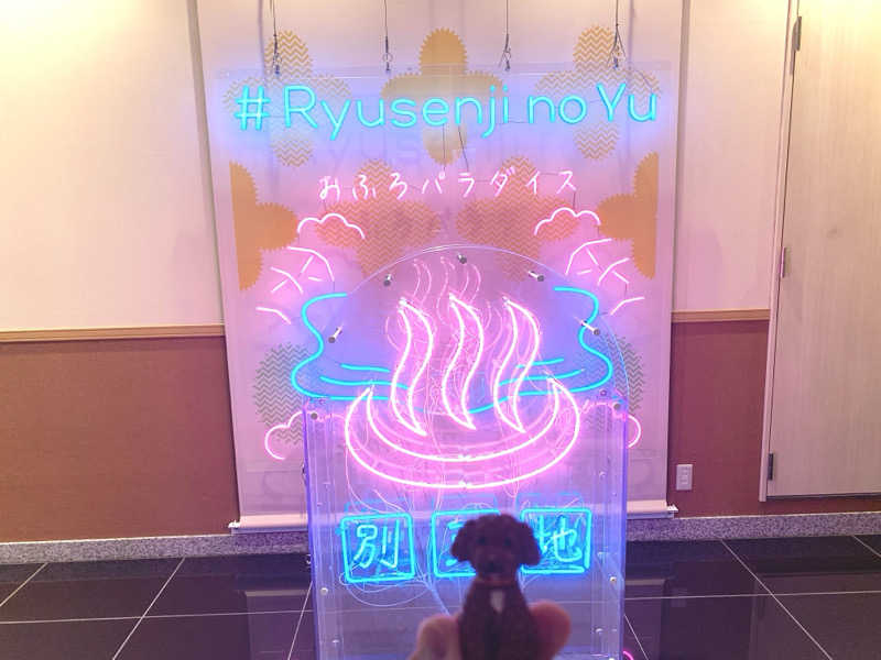 ALOHAさんのスパメッツァ おおたか 竜泉寺の湯のサ活写真