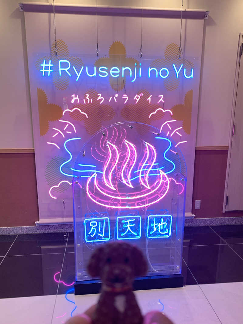 ALOHAさんのスパメッツァ おおたか 竜泉寺の湯のサ活写真