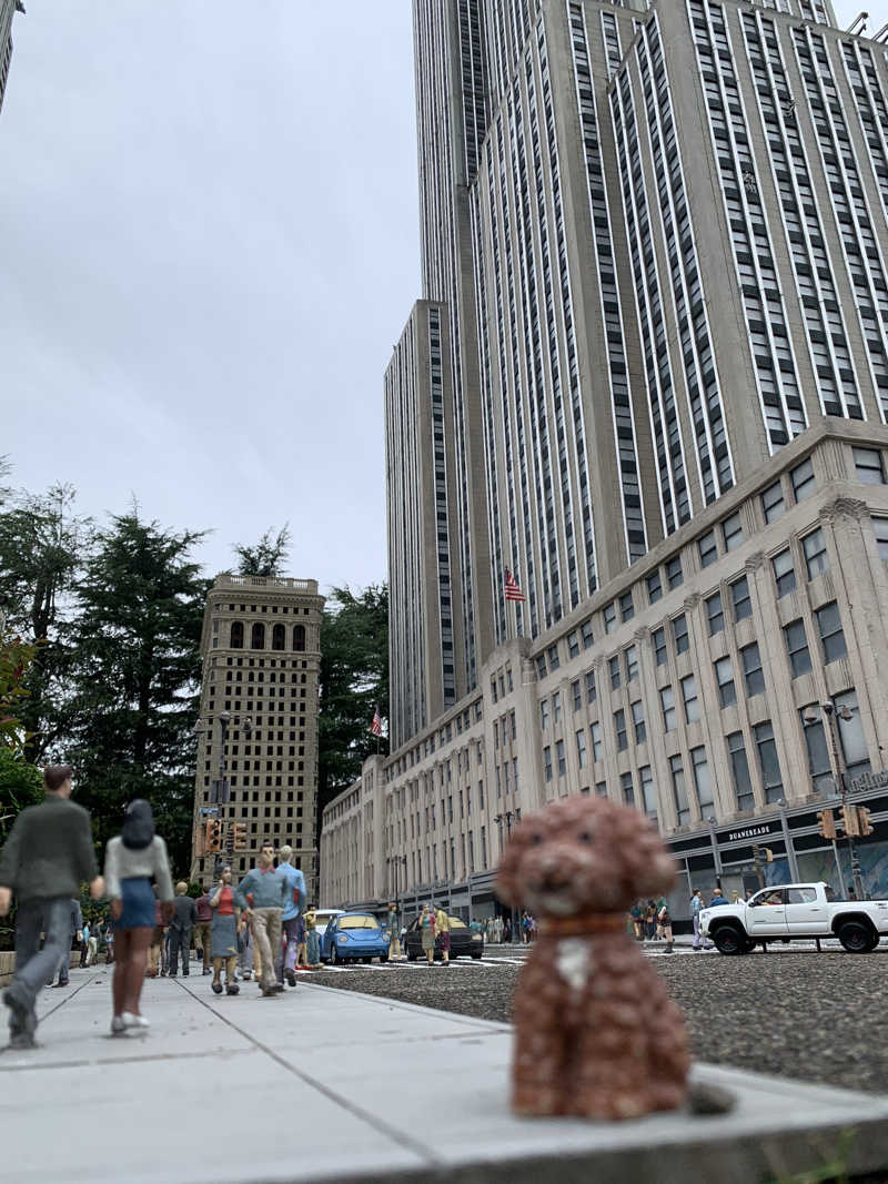 ALOHAさんの花の宿 松やのサ活写真