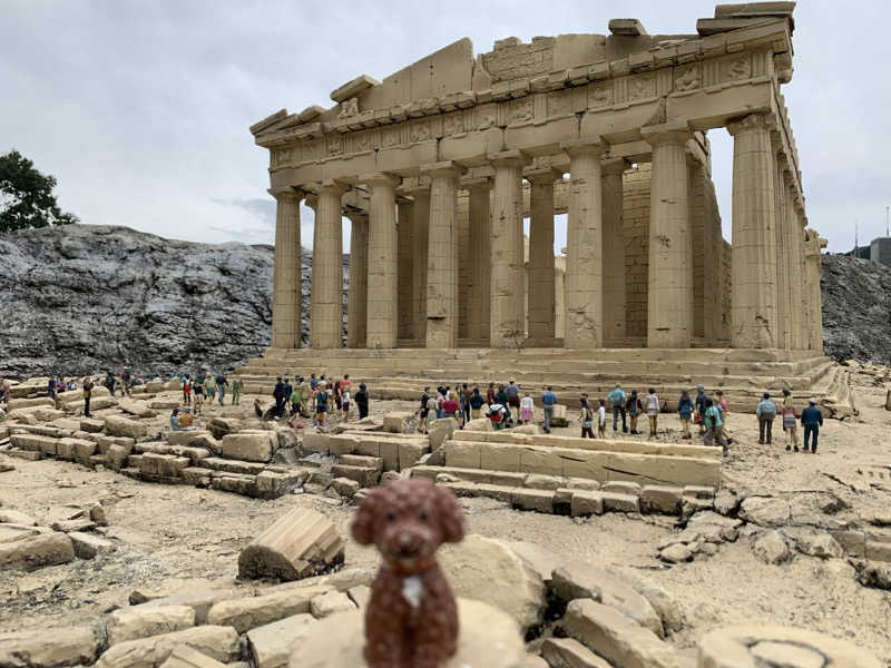 ALOHAさんの花の宿 松やのサ活写真