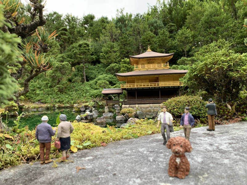 ALOHAさんの花の宿 松やのサ活写真