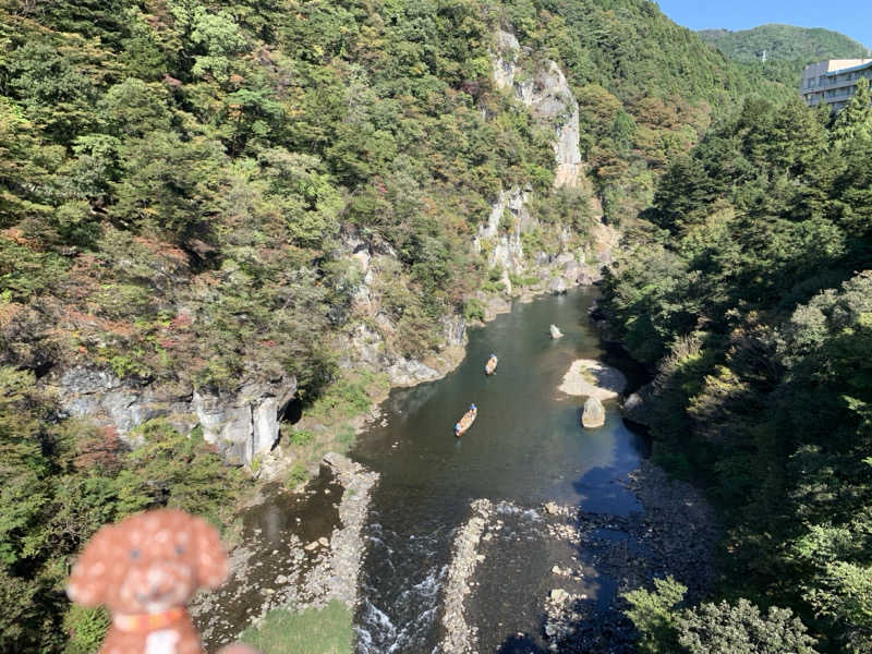 ALOHAさんの花の宿 松やのサ活写真