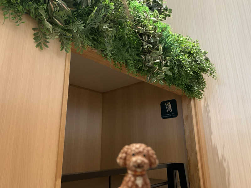 ALOHAさんのスパメッツァ おおたか 竜泉寺の湯のサ活写真