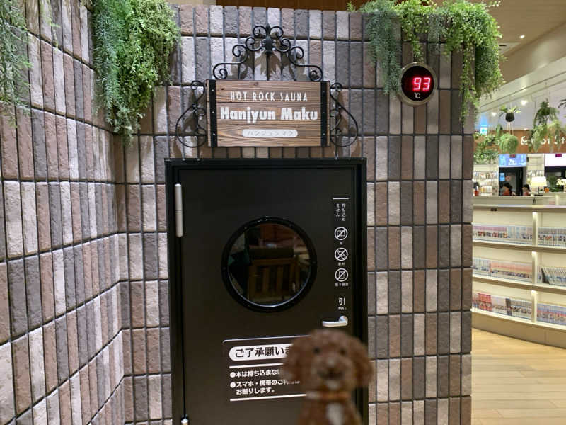 ALOHAさんのスパメッツァ おおたか 竜泉寺の湯のサ活写真