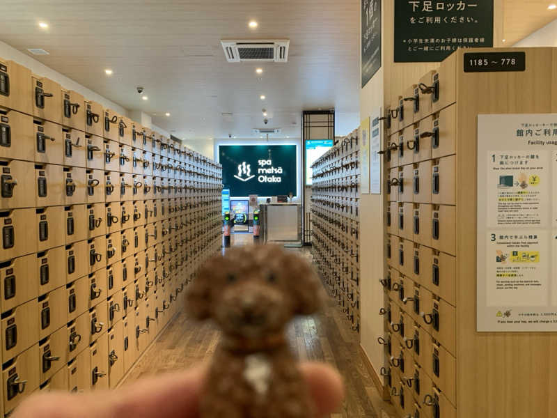 ALOHAさんのスパメッツァ おおたか 竜泉寺の湯のサ活写真
