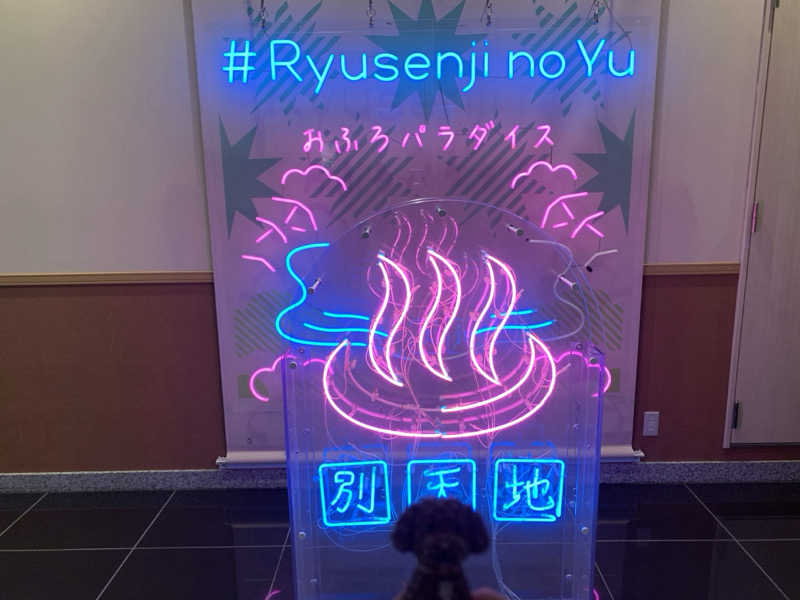 ALOHAさんのスパメッツァ おおたか 竜泉寺の湯のサ活写真