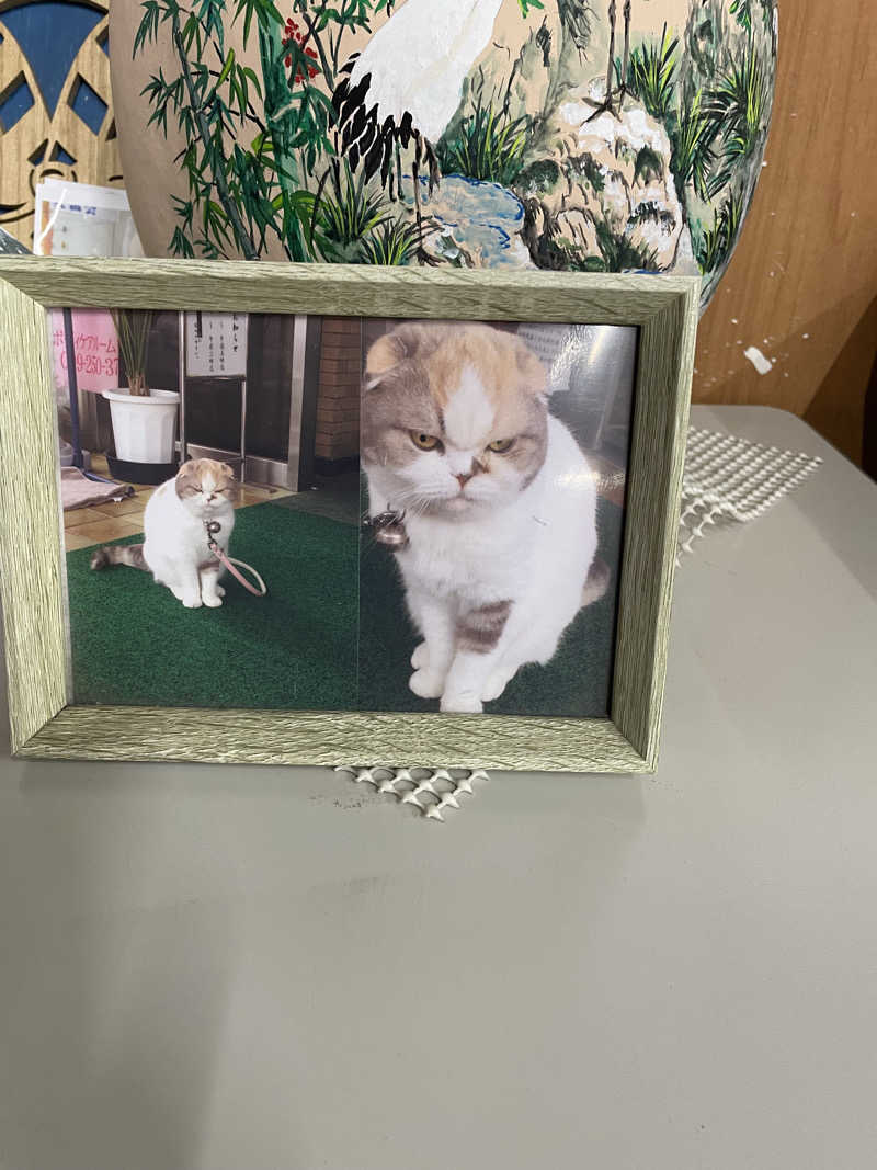 ヤマトさんの一本桜温泉センターのサ活写真