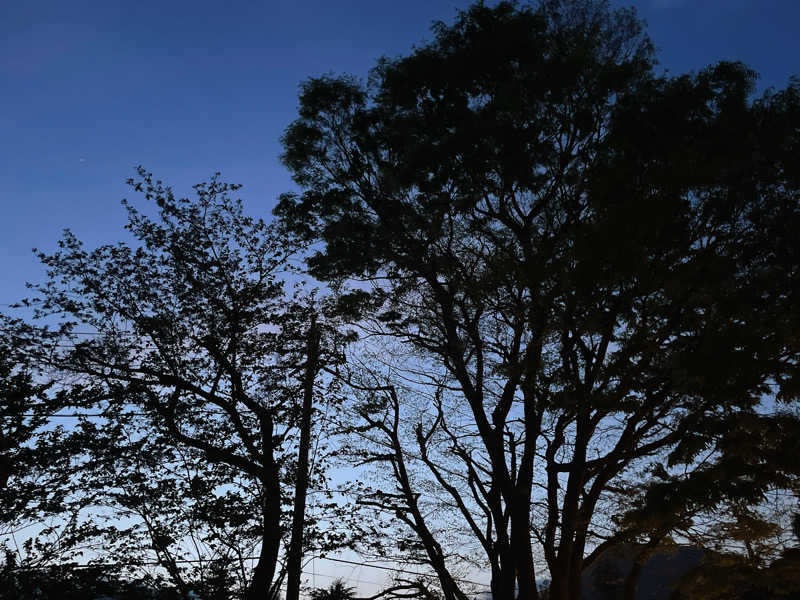 いつきさんのアンダリゾート伊豆高原のサ活写真