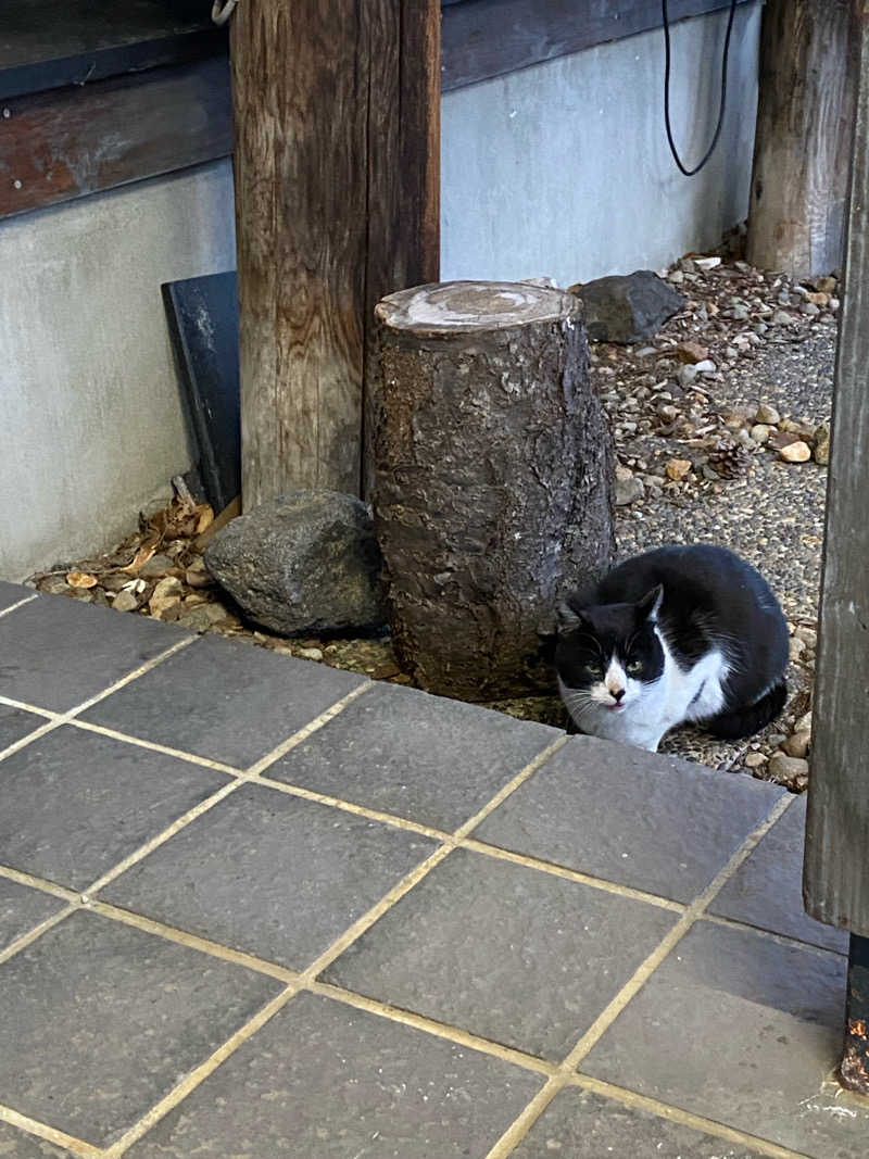 Ｓ本さんの八幡平温泉館 森乃湯のサ活写真