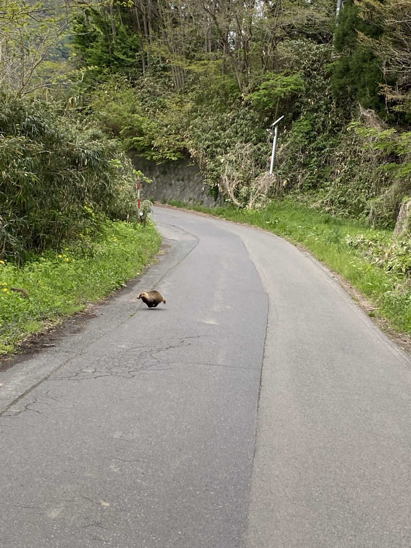 Ｓ本さんのスパドームのサ活写真