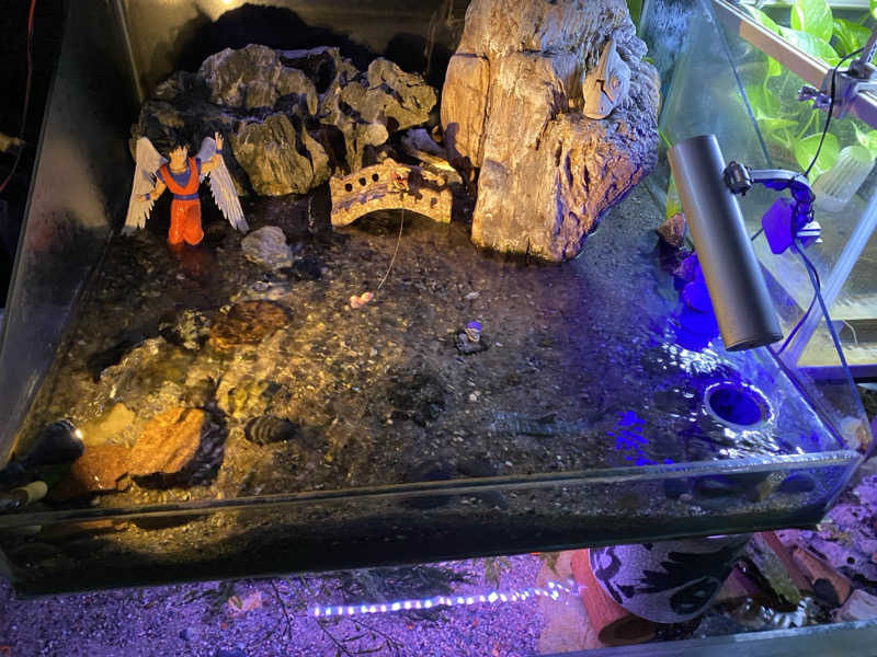 Ｓ本さんの平川温泉のサ活写真