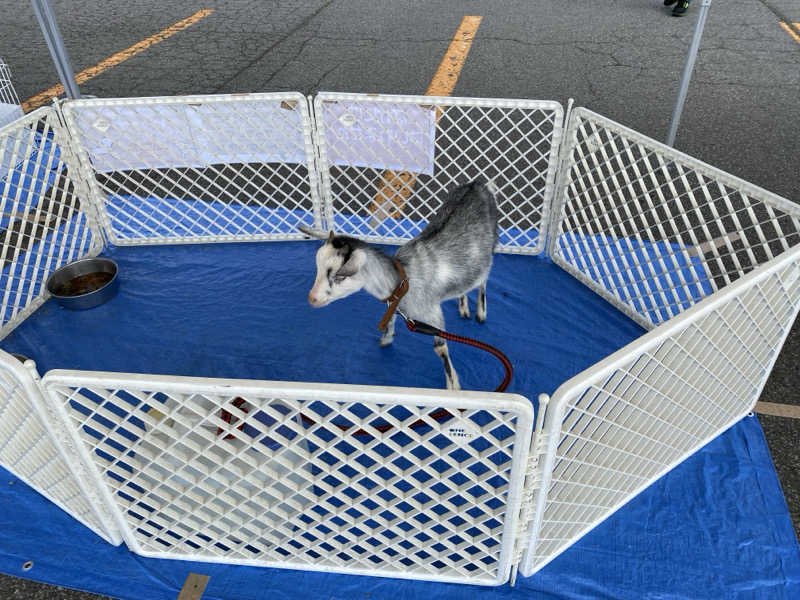 Ｓ本さんの大和温泉のサ活写真