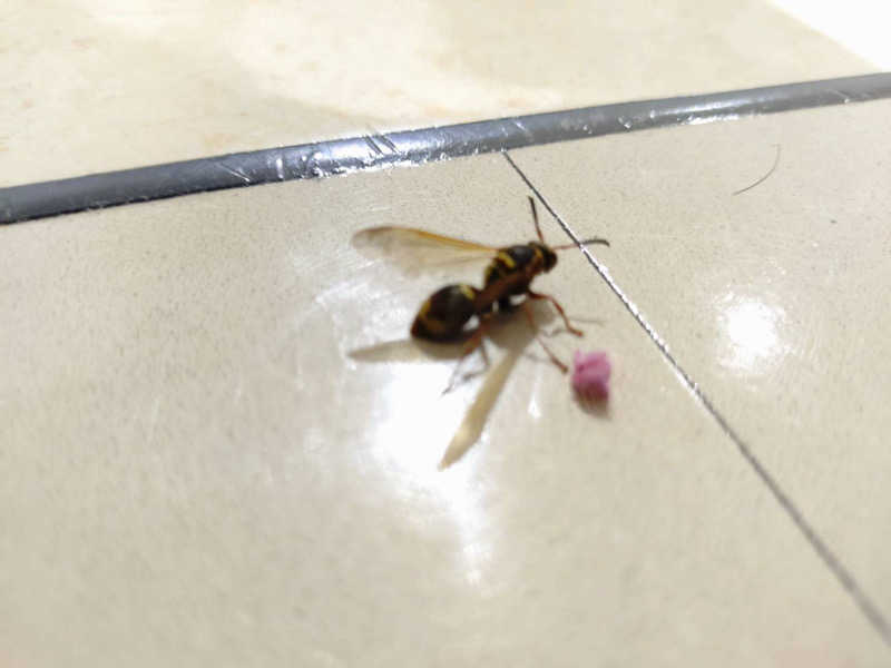 Ｓ本さんのからんころん温泉のサ活写真