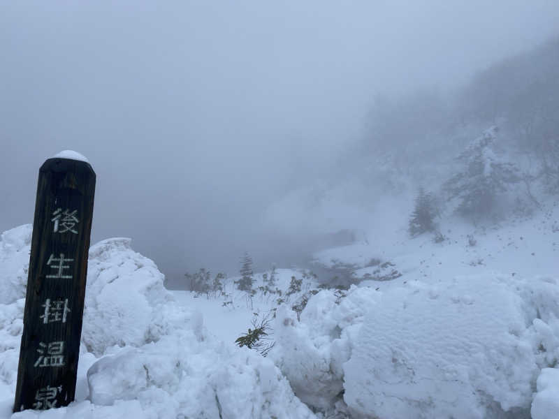 Ｓ本さんの後生掛温泉のサ活写真
