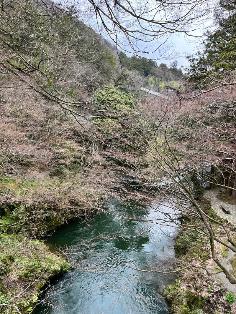 サ神さんの湯快リゾートプレミアム 山中温泉 よしのや依緑園のサ活写真