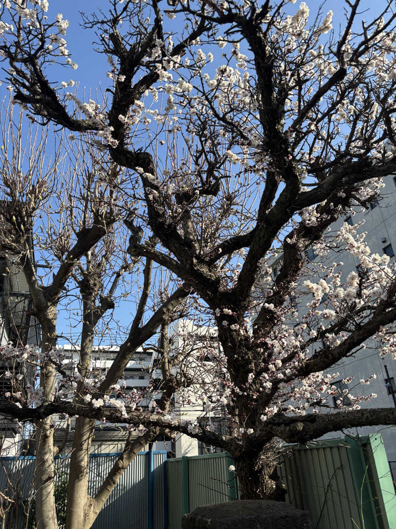 優しさライセンスさんのみうら湯 弘明寺店のサ活写真