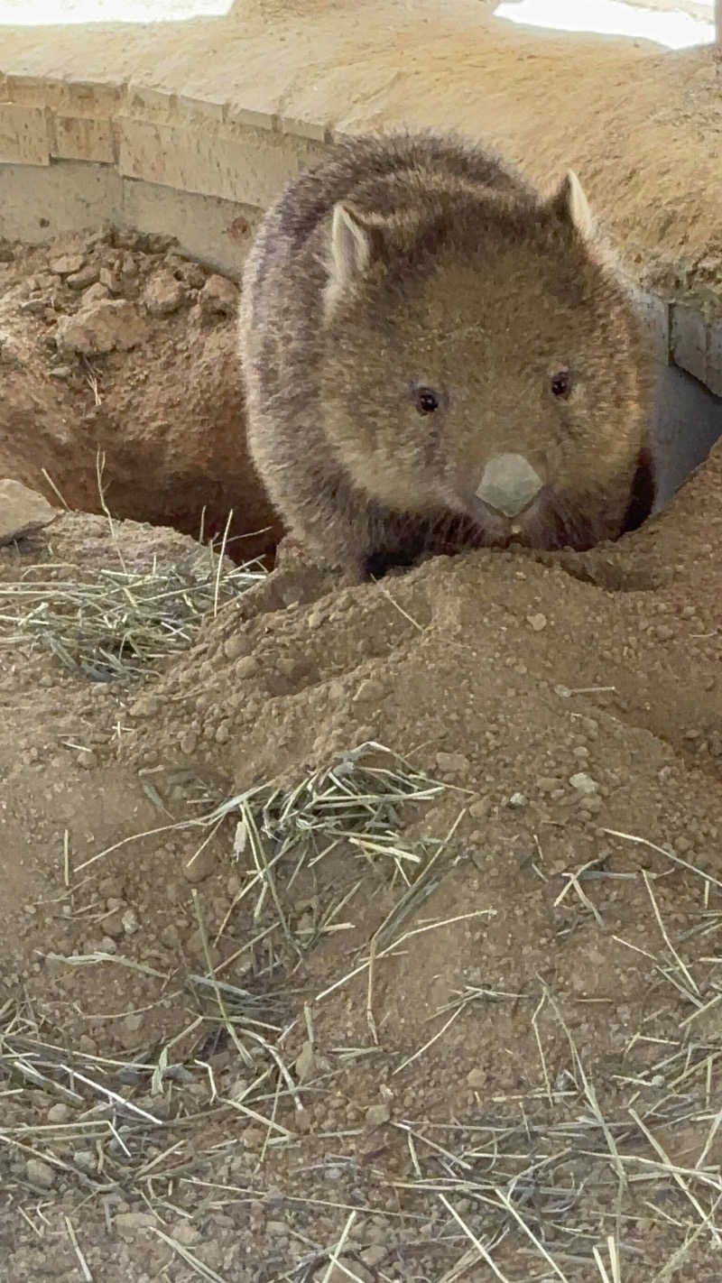 優しさライセンスさんの城南温泉のサ活写真