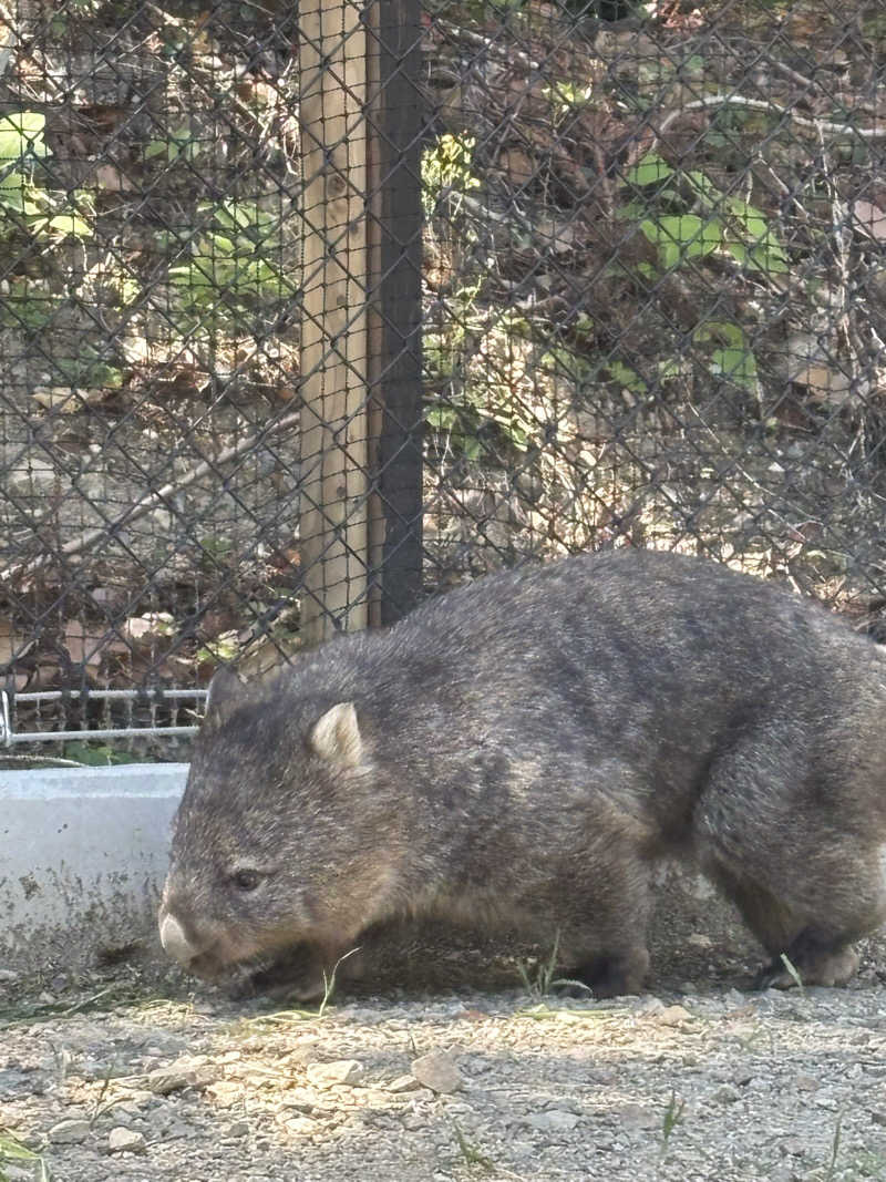 優しさライセンスさんの城南温泉のサ活写真