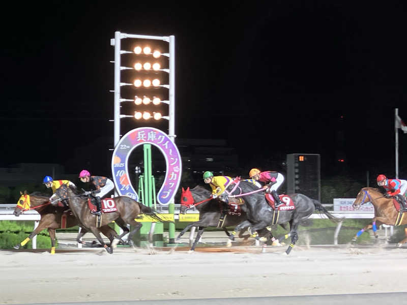 トパさんの平和湯のサ活写真