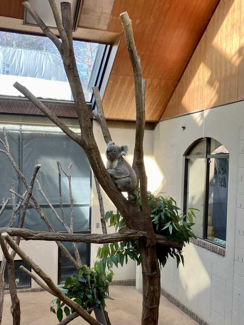 トパさんの灘温泉水道筋店のサ活写真