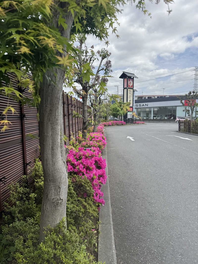 トニオさんの溝口温泉 喜楽里のサ活写真