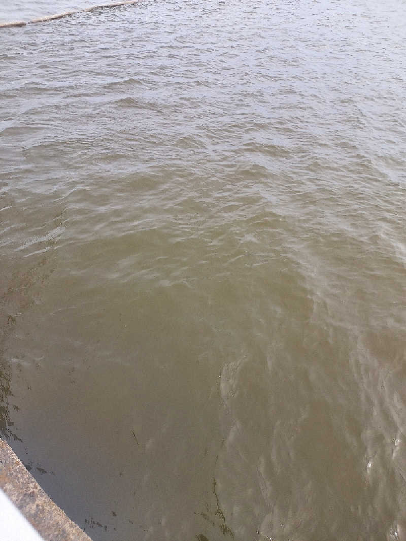 スギケイさんのKulttuurisaunaのサ活写真