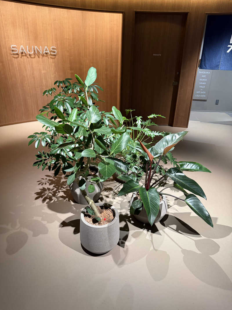 赤い跳ね馬さんの高輪SAUNASのサ活写真