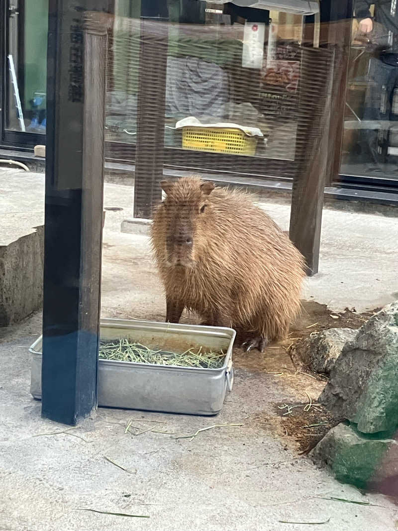 サウナーマンさんの石狩天然温泉 番屋の湯のサ活写真