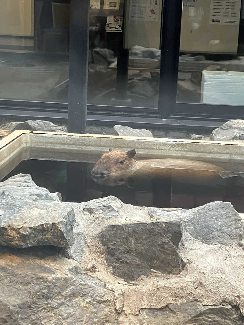 サウナーマンさんの石狩天然温泉 番屋の湯のサ活写真