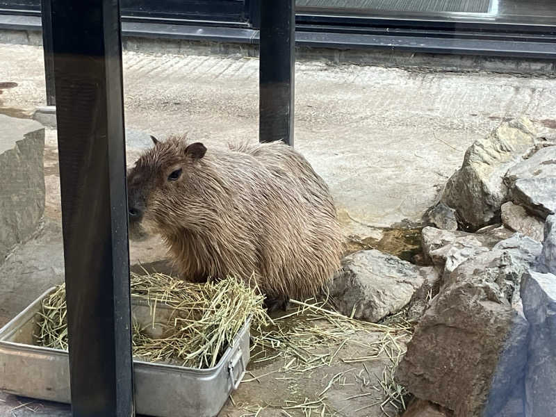 サウナーマンさんの石狩天然温泉 番屋の湯のサ活写真