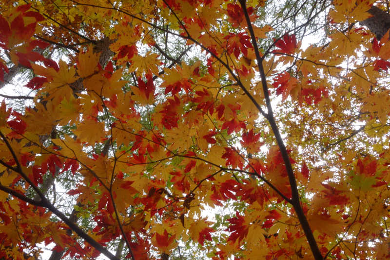 サウナーマンさんの神仏湯温泉のサ活写真