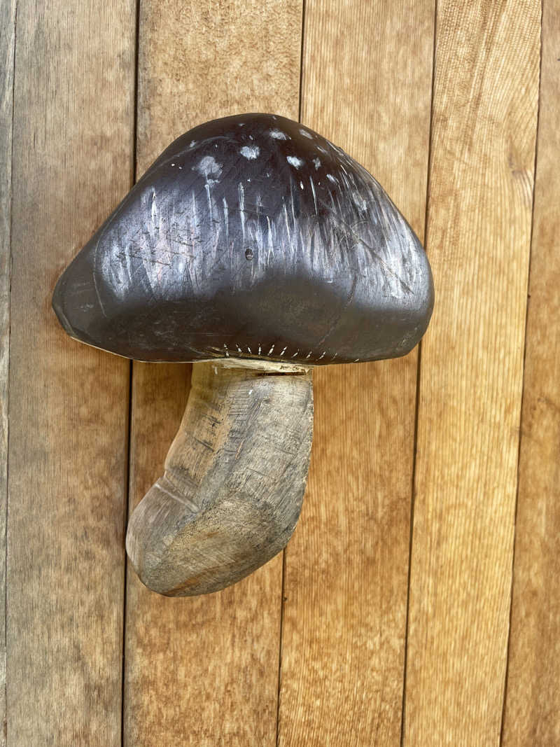 N.Takakuraさんのロッジきよかわ - JOKI SAUNA -のサ活写真