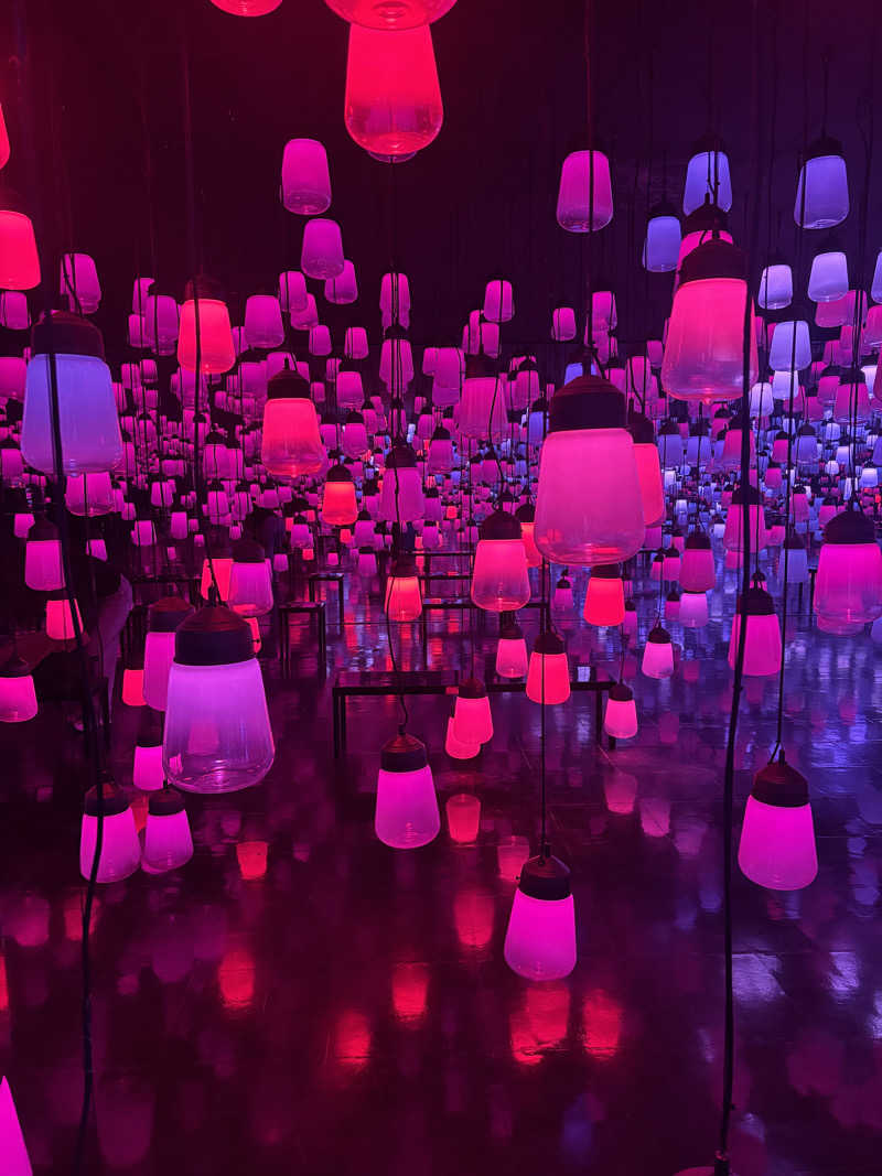 erikamusさんの御船山楽園ホテル  らかんの湯のサ活写真