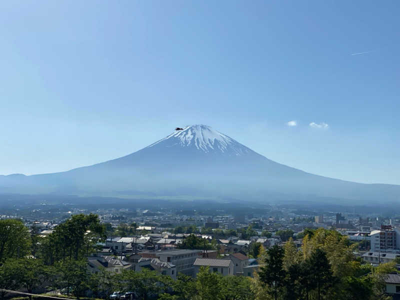 いちこさんの天然温泉 富士桜の湯 ドーミーインEXPRESS富士山御殿場のサ活写真