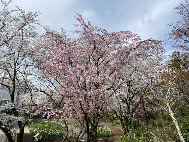 いちこさんのよみうりランド眺望温泉 花景の湯のサ活写真