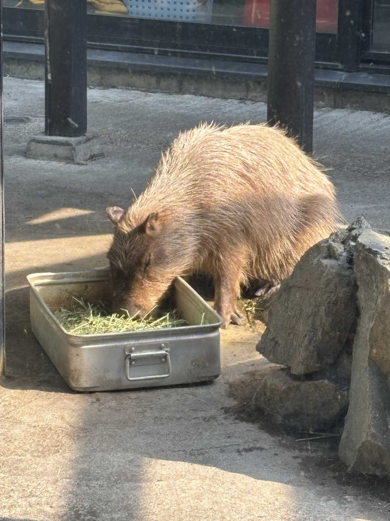 モニャモニャさんの石狩天然温泉 番屋の湯のサ活写真