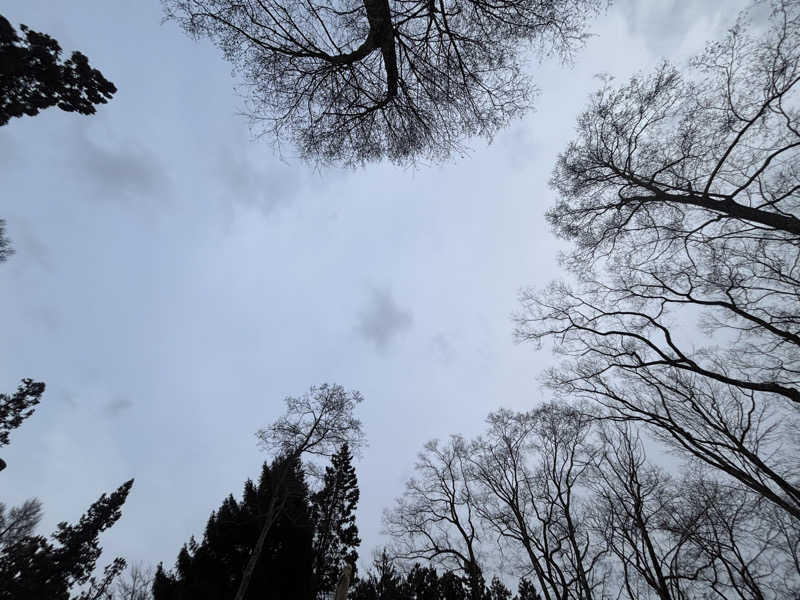 かずきちさんのThe Saunaのサ活写真