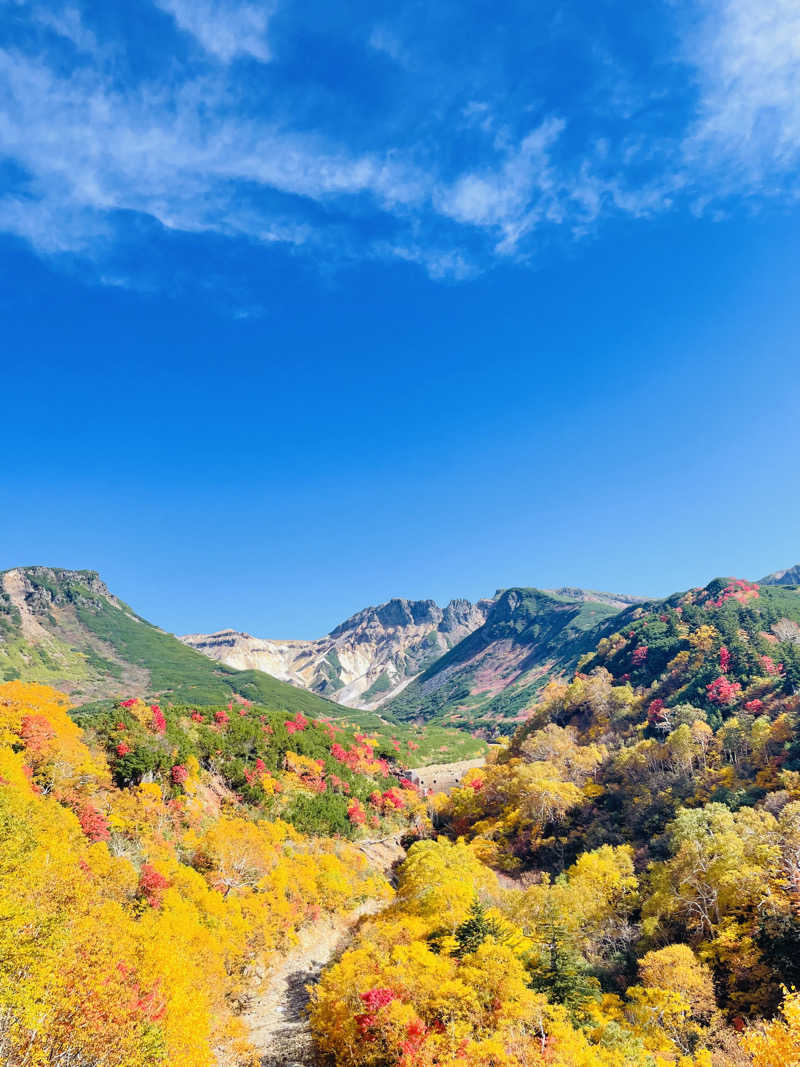 なたさんさんの十勝岳温泉 凌雲閣のサ活写真