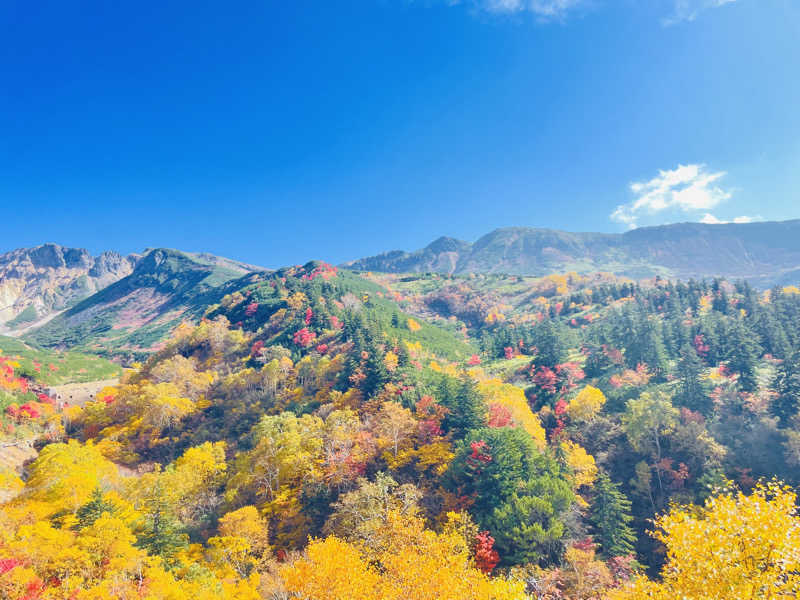 なたさんさんの十勝岳温泉 凌雲閣のサ活写真