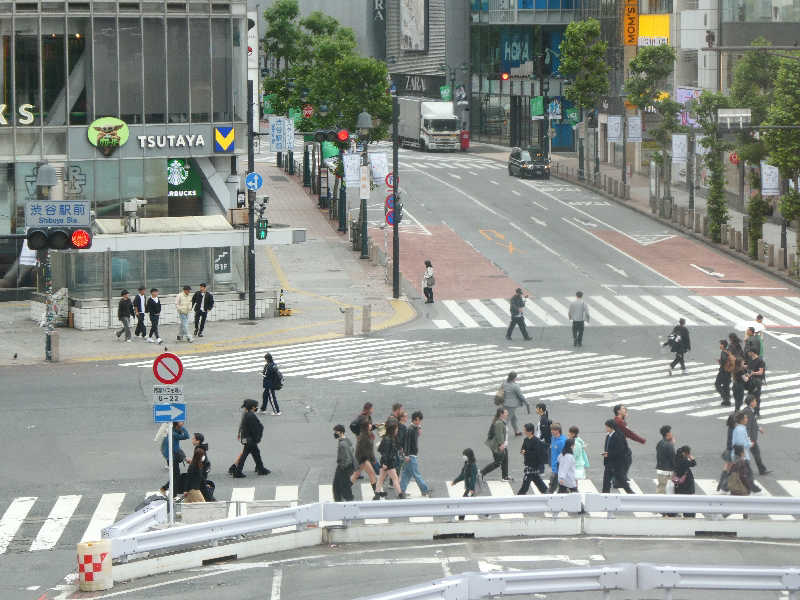 グランクラスしんやさんの生姜サウナ 金の亀のサ活写真