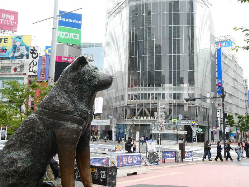グランクラスしんやさんの生姜サウナ 金の亀のサ活写真
