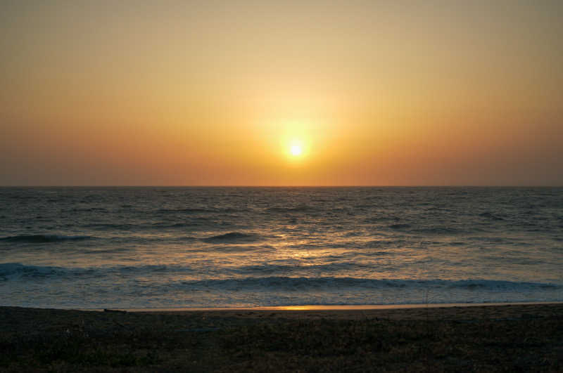 ゆうきさんのゆうみ Sauna Cafe (Beach Sauna)のサ活写真
