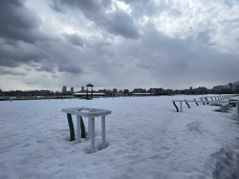 ぷっちょさんのサウナバin札幌競馬場のサ活写真