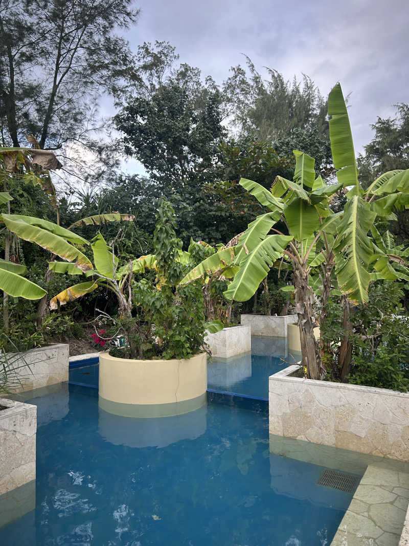 🫥さんのCafe&Bar Sazanamiのサ活写真