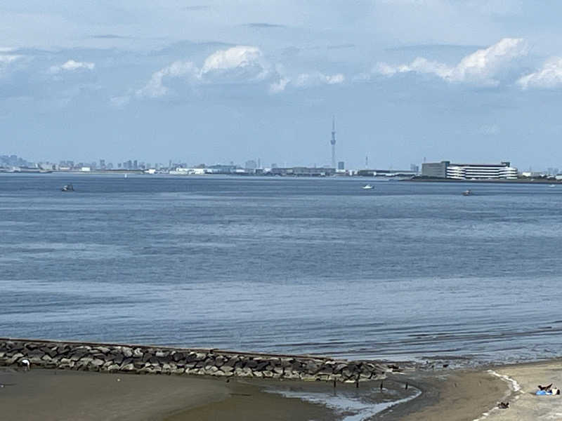 うだしさんのJFA夢フィールド 幕張温泉 湯楽の里のサ活写真