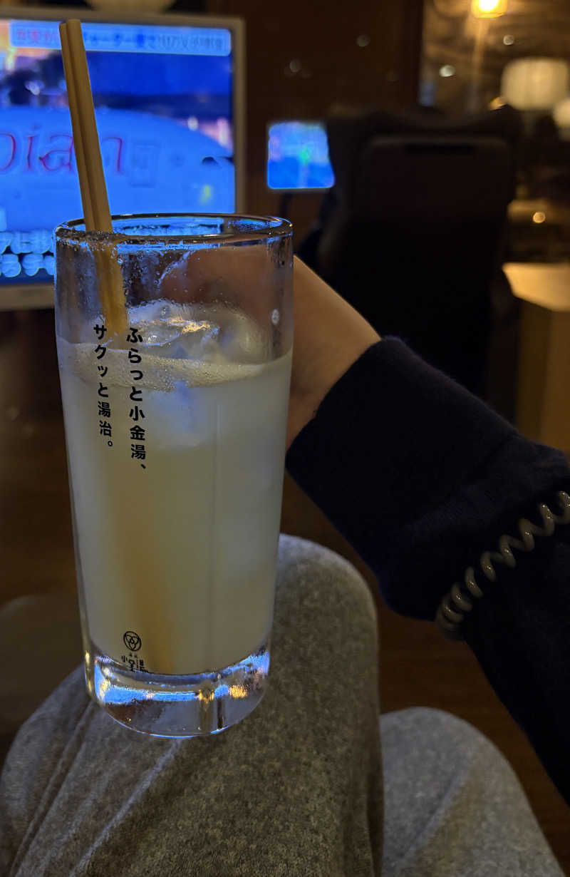 Hiさんの小金湯温泉 湯元 小金湯のサ活写真