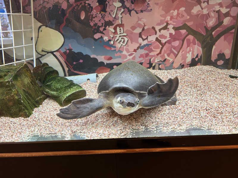 moroさんの松本湯のサ活写真